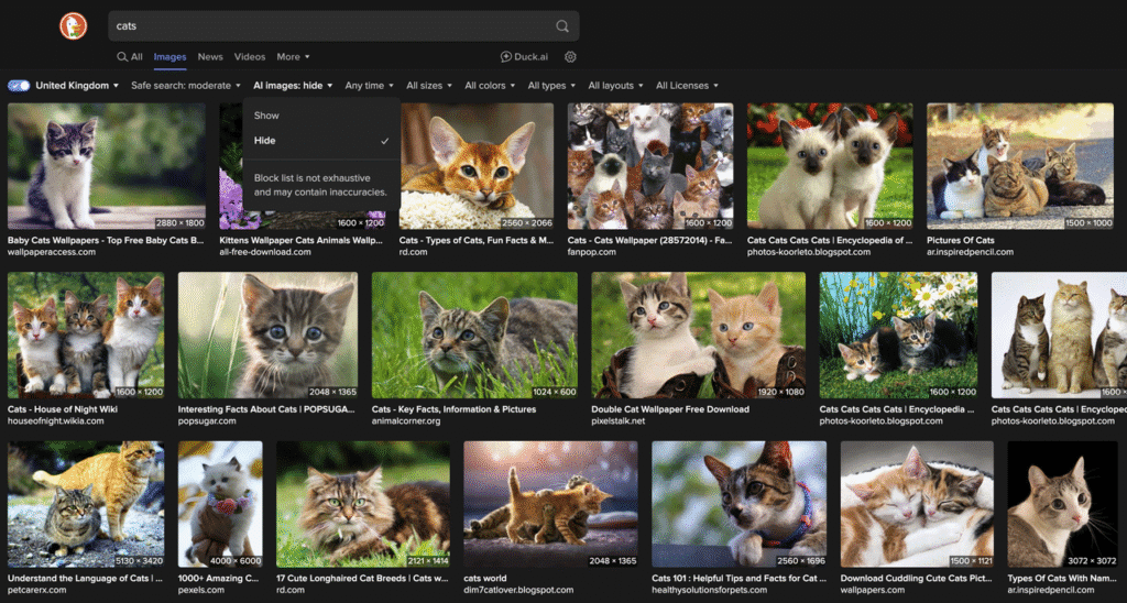 sick-of-seeing-ai-images-everywhere-online?-duckduckgo-will-let-you-filter-out-the-slop-from-your-search-results