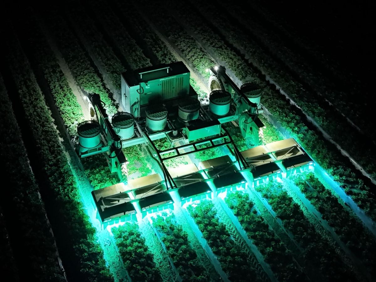how-tric-robotics-is-reducing-pesticide-use-on-strawberries-using-uv-light