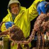 how-to-watch-deadliest-catch-season-21-online-from-anywhere-–-stream-much-loved-fishing-doc