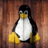it’s-‘everywhere’-–-mozilla-ramps-up-access-with-vpn-now-available-on-all-linux-distros
