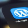 hackers-target-critical-wordpress-theme-flaw-–-hundreds-of-sites-at-risk-from-potential-takeover,-find-out-if-you’re-affected