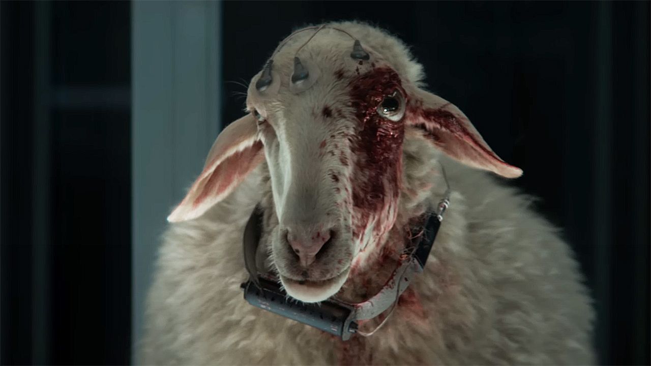 alien:-earth-introduces-new-creatures-as-terrifying-as-the-xenomorph,-but-the-show’s-creator-didn’t-want-to-squeeze-in-‘a-vending-machine-of-alien-life’-for-the-sake-of-it