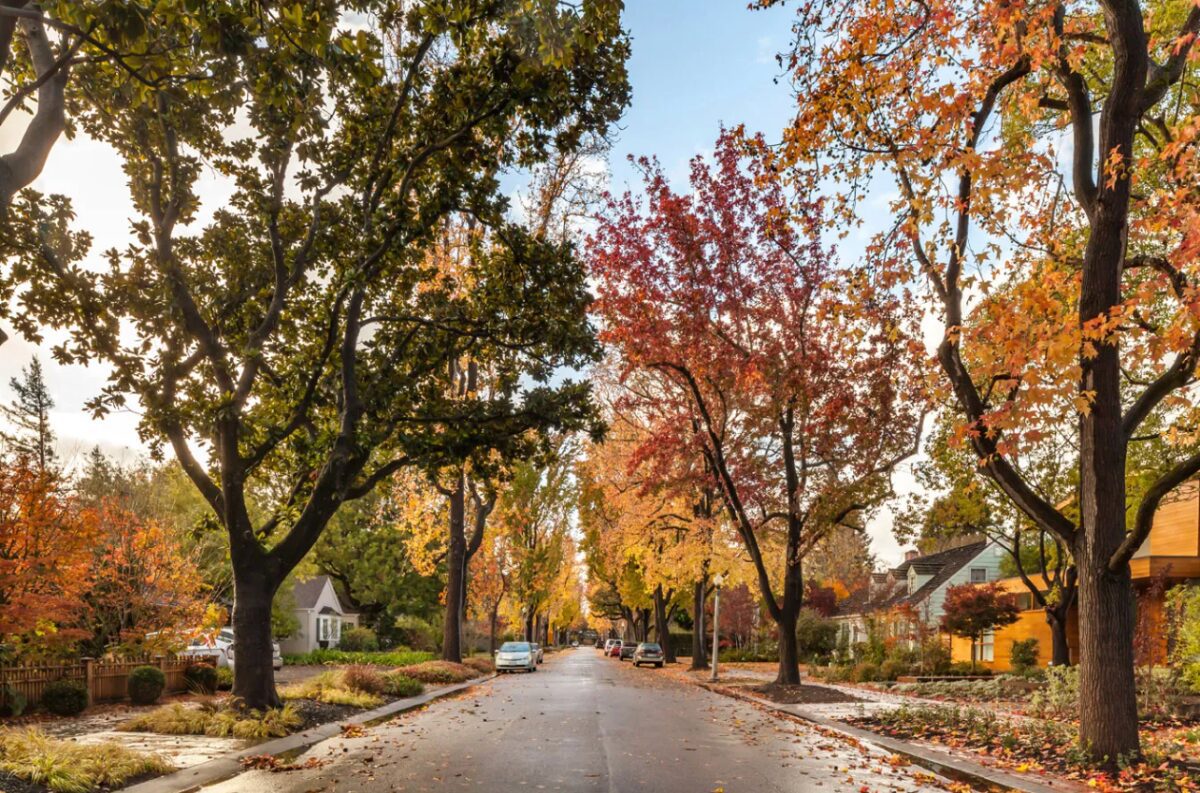 the-hidden-cost-of-living-amid-mark-zuckerberg’s-$110m-compound