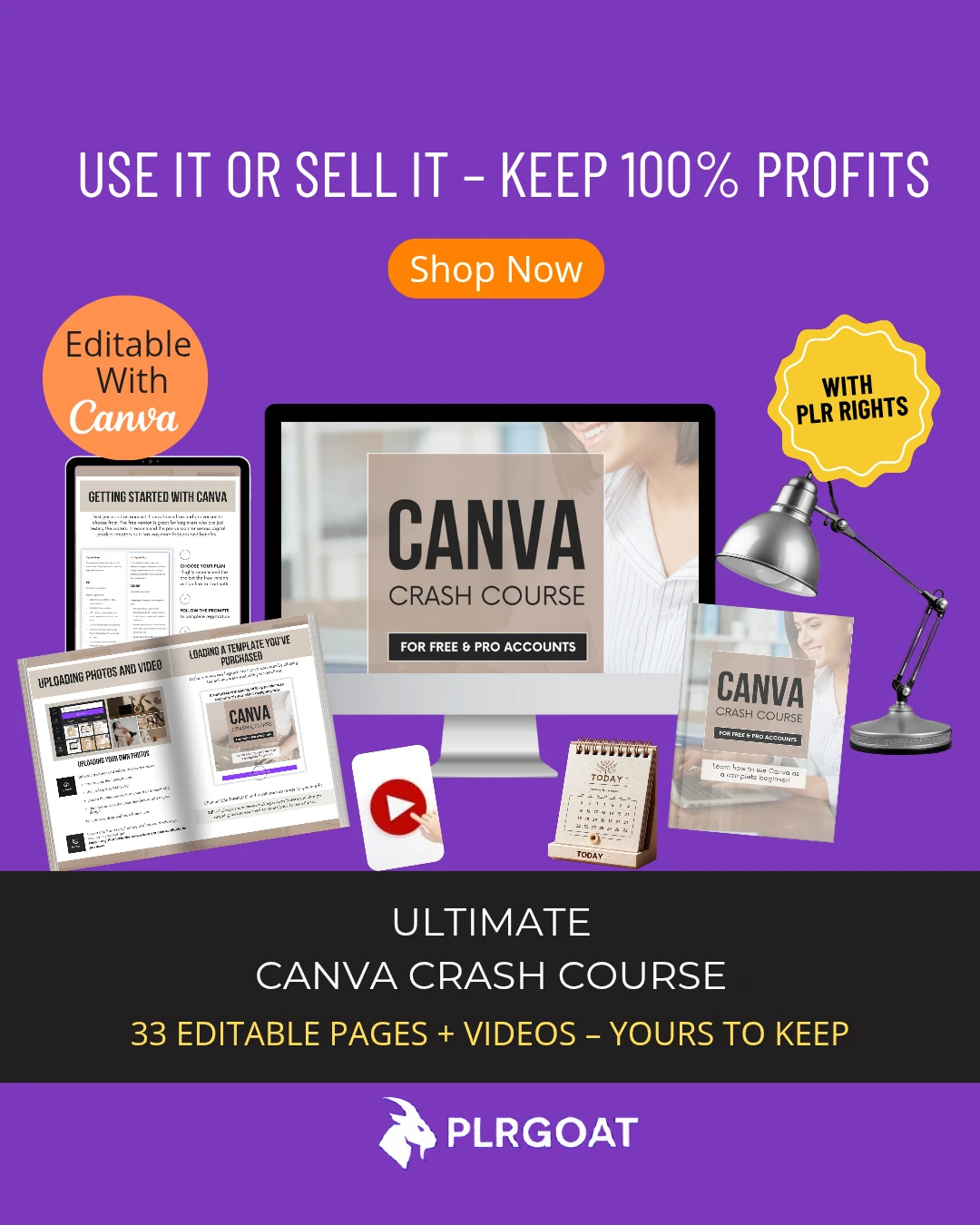 CANVA CRASH COURSE